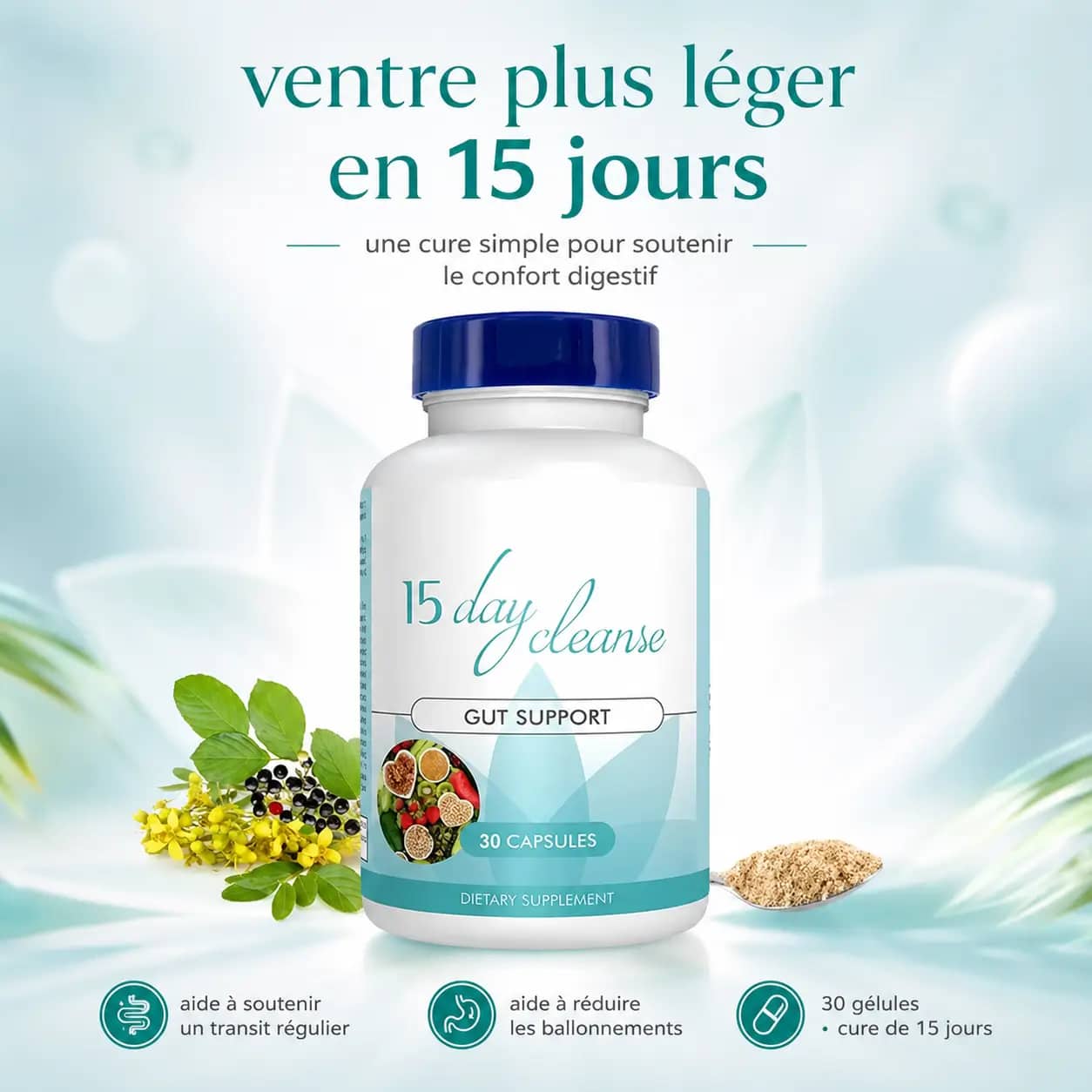 15 Day Cleanse – Ventre plus léger, vie plus légère